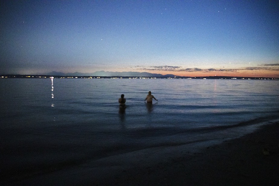 caption: Friends swim in Puget Sound as a crowd assembles to begin looking for bioluminesence on Friday, August 2, 2024, at Golden Gardens in Seattle.