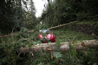 caption: An abandoned car sits surrounded by fallen trees and debris following a "bomb cyclone" on Nov. 21, 2024, along Northup Way in Bellevue, Washington. 
