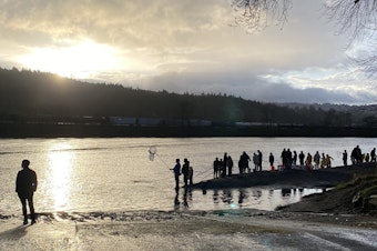 caption: Dipnetters start to skim the Cowlitz River in Longview, Washington, for eulachon or Columbia smelt just after the 8 a.m. opening of the fishery on March 15, 2025.