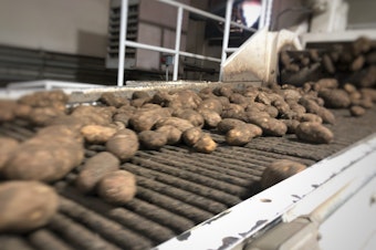 caption: Potatoes scoot by on fast belts at Balcom & Moe in Pasco. The potatoes get a rinse, are sized and then put in bags destined for America’s supermarkets. The potato farmer and packer-shipper has been in business since the 1920s.