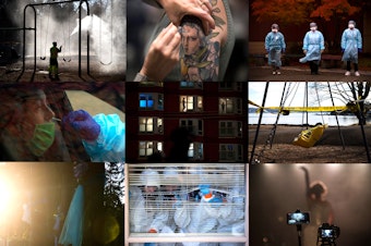 caption: A collection of images from 2020 and 2021 in western Washington.