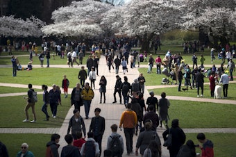 caption: Crowds gathered to photograph the blossoming cherry trees on Monday, March 19, 2018, on the University of Washington campus in Seattle. 