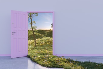 3D rendering of a whimsical scene that depicts a purple door in an empty room opening to a lush landscape of rolling hills and wildflowers, the green grass spills into the room, creating a carpet.