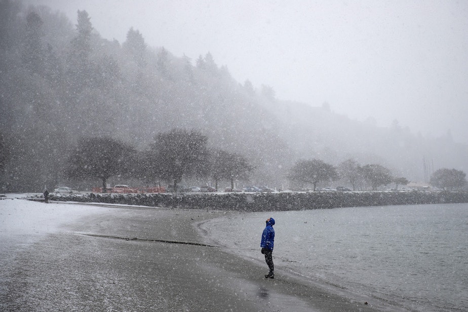 caption: Scott Goodall looks toward the falling snow while walking along the beach on Wednesday, January 15, 2020, at Golden Gardens Park in Seattle.