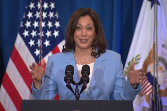 caption: Vice President Kamala Harris speaks at an event in Seattle, Wash. Aug. 15, 2023 on the one-year anniversary of the Inflation Reduction Act. 